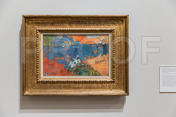 20150731_Museum_of_Fine_Arts_ST_Pet_9C7C0307