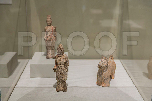 20150731_Museum_of_Fine_Arts_ST_Pet_9C7C0184