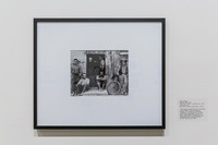 20150731_Museum_of_Fine_Arts_ST_Pet_9C7C0143