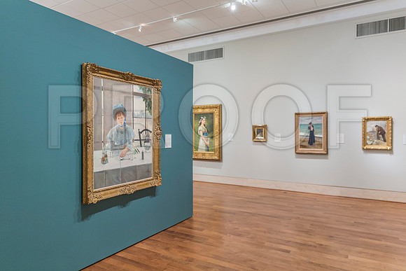 20150731_Museum_of_Fine_Arts_ST_Pet_9C7C0309