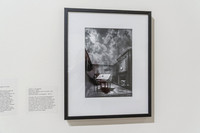 20150731_Museum_of_Fine_Arts_ST_Pet_9C7C0146
