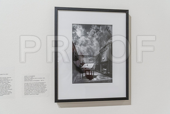 20150731_Museum_of_Fine_Arts_ST_Pet_9C7C0146