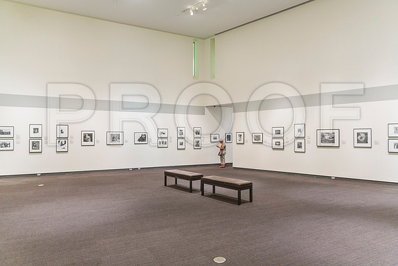 20150731_Museum_of_Fine_Arts_ST_Pet_9C7C0156