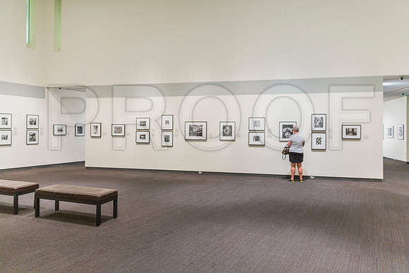 20150731_Museum_of_Fine_Arts_ST_Pet_9C7C0147