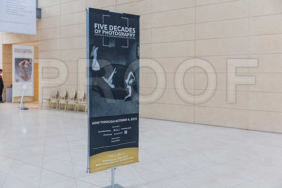 20150731_Museum_of_Fine_Arts_ST_Pet_9C7C0334