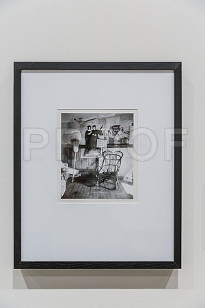20150731_Museum_of_Fine_Arts_ST_Pet_9C7C0142