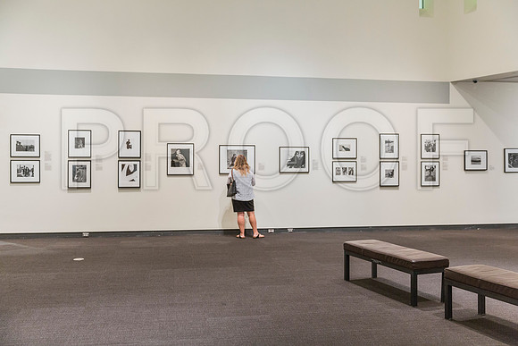 20150731_Museum_of_Fine_Arts_ST_Pet_9C7C0148