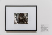 20150731_Museum_of_Fine_Arts_ST_Pet_9C7C0141