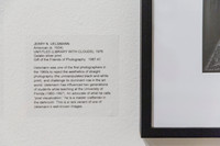 20150731_Museum_of_Fine_Arts_ST_Pet_9C7C0145
