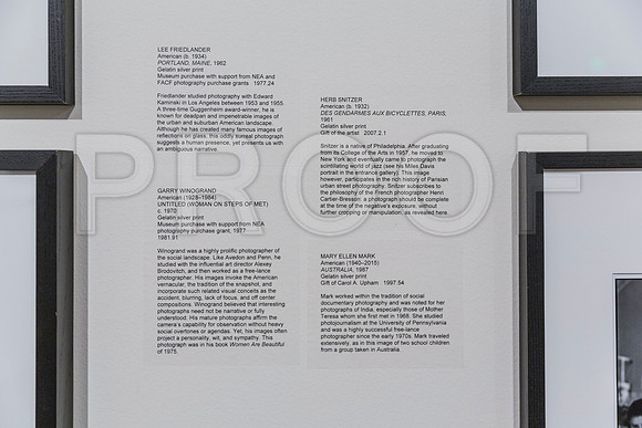 20150731_Museum_of_Fine_Arts_ST_Pet_9C7C0149