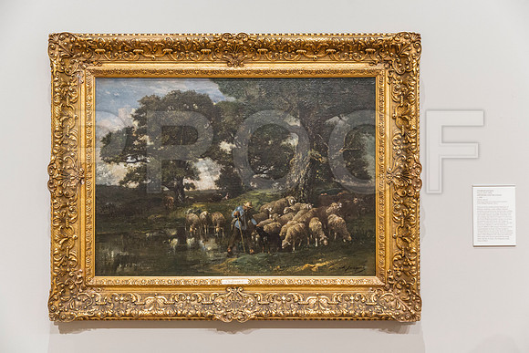 20150731_Museum_of_Fine_Arts_ST_Pet_9C7C0294