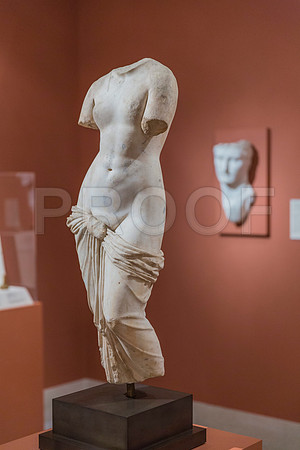 20150731_Museum_of_Fine_Arts_ST_Pet_9C7C0189
