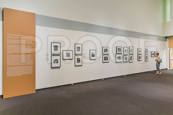 20150731_Museum_of_Fine_Arts_ST_Pet_9C7C0158
