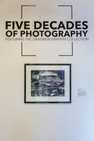 20150731_Museum_of_Fine_Arts_ST_Pet_9C7C0136