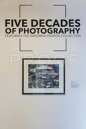 20150731_Museum_of_Fine_Arts_ST_Pet_9C7C0136