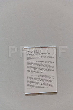 20150731_Museum_of_Fine_Arts_ST_Pet_9C7C0285