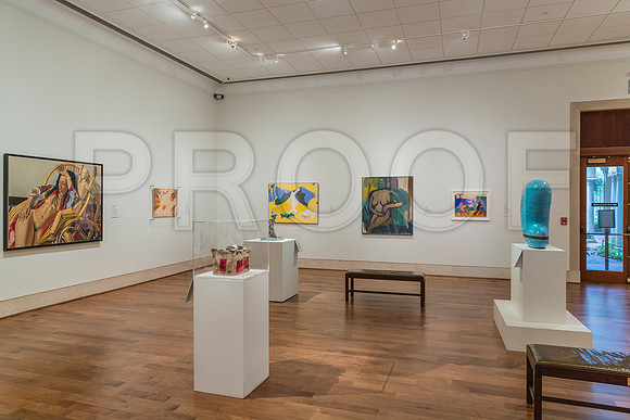 20150731_Museum_of_Fine_Arts_ST_Pet_9C7C0324