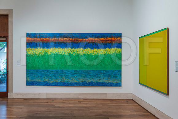 20150731_Museum_of_Fine_Arts_ST_Pet_9C7C0226