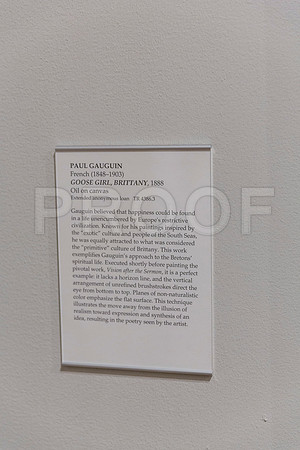 20150731_Museum_of_Fine_Arts_ST_Pet_9C7C0308