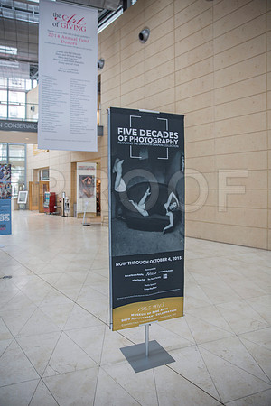 20150731_Museum_of_Fine_Arts_ST_Pet_9C7C0128