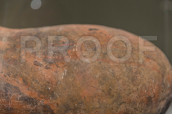 20150731_Museum_of_Fine_Arts_ST_Pet_9C7C0171