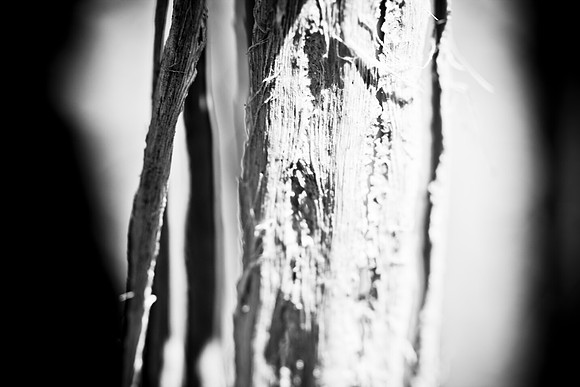 0031_La_Arizona_5L8Y5628