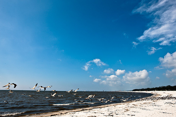 0036-NEW_ORLEANS_TO_PANAMA_CITY_BEACH_5L8Y1176