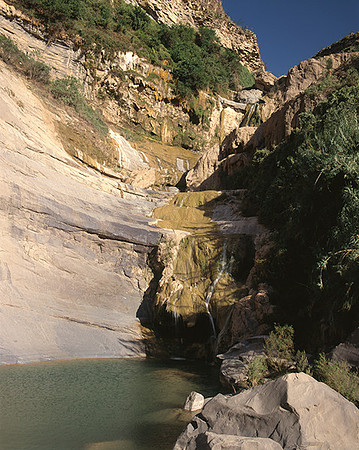 4000_20080719_ADS_Mexican_Landscape_Mexico_141