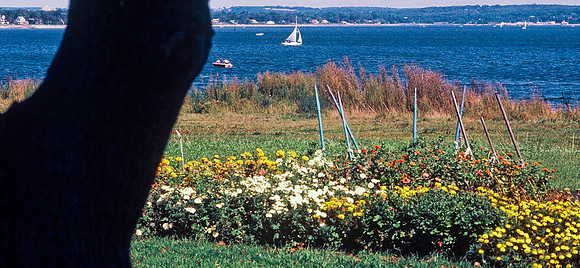 47392_B3_SL_COLOR_SURROUNDINGS_NE_97_05.jpg