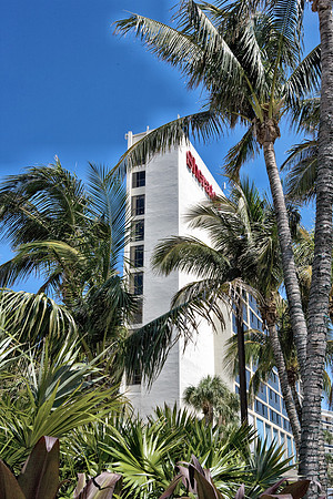 36181_DG_Color_USA_Miami_FL_Related_GroupZV4N9631-5