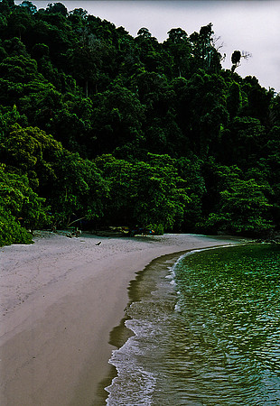FILM