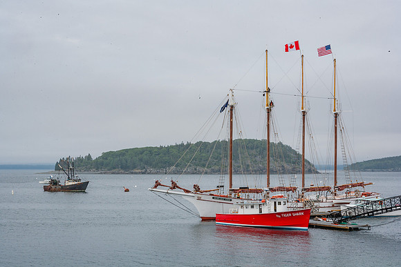 20060627_Maine_ZV4N0999