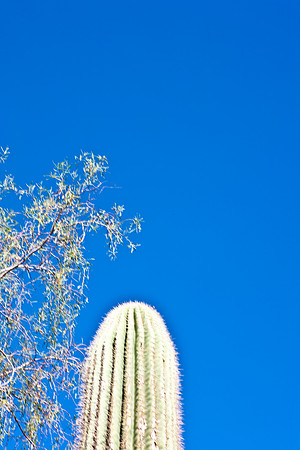 0031_La_Arizona_5L8Y5286