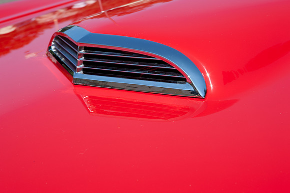 0026_DG_Mill_Valley_CA_USA_2009_5L8Y1785