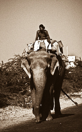47284_SL_COLOR_INDIA_1987_8