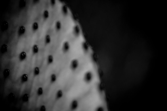 0031_La_Arizona_5L8Y5585