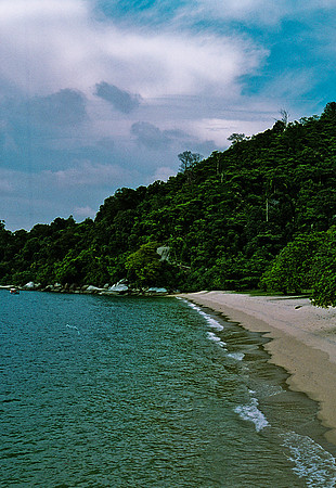 FILM