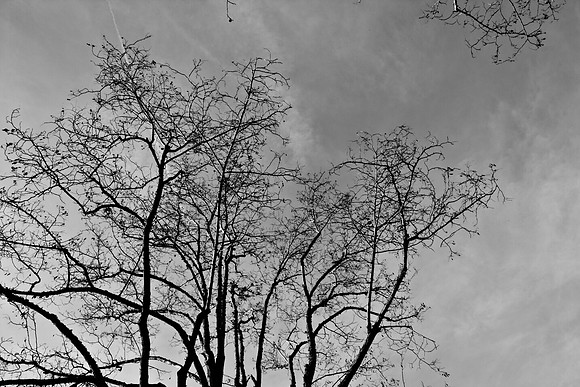 36425_DG_CALIFORNIA_USA_2007_ZV4N_3972-2