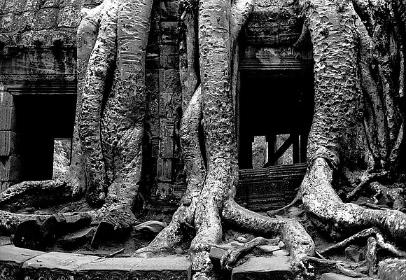 62456_2008_FM_BW_Temples_SlemReap_Cambodia_005