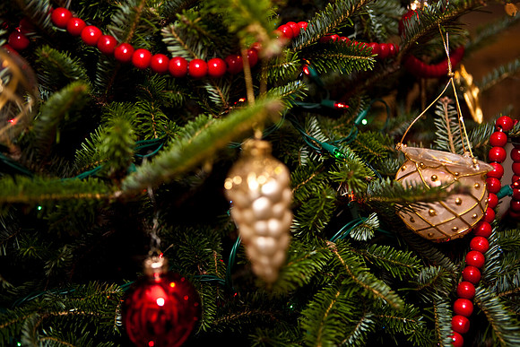 2523_Jorge_Perez_Family_Home_Christmas_ZV4N2838