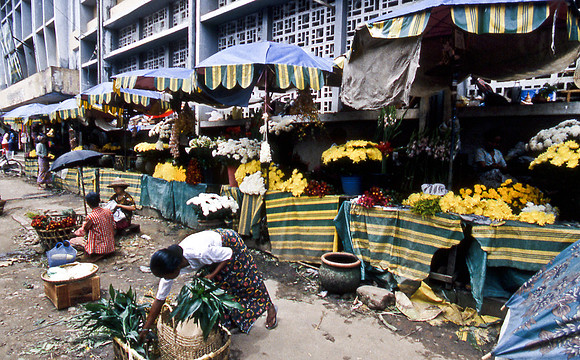 3484_SL_COLOR_AROUND_THE_WORLD_IN_8_MONTHS_APRIL_2000_8