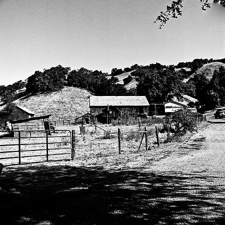 6036_FM_BW_PASO_ROBLES_CA_05_7.jpg
