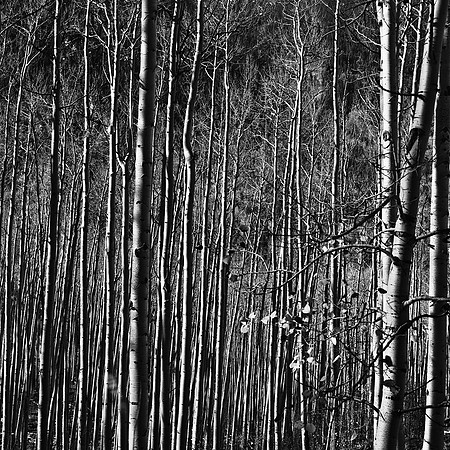 6098_FM_BW_INDEPENDENCE_CO_05_9.jpg