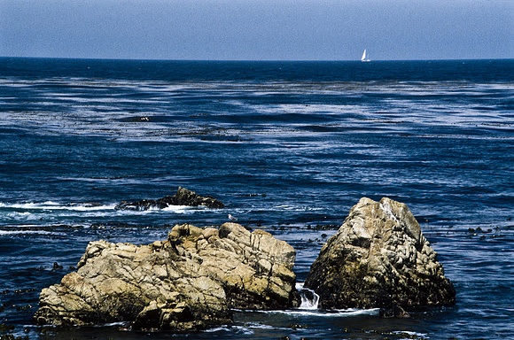 47939_B17_SL_COLOR_17M_DRIVE_CARMEL_CA_9747939_B17_SL_COLOR_17M_DRIVE_CARMEL_CA_97_09.jpg