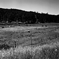 7547_B3P1_6_BW_SQ_MT_01_3.jpg