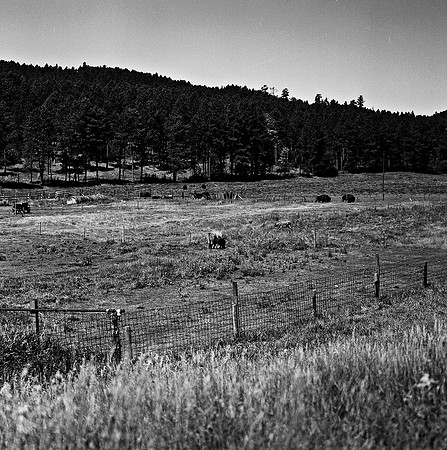 7547_B3P1_6_BW_SQ_MT_01_3.jpg