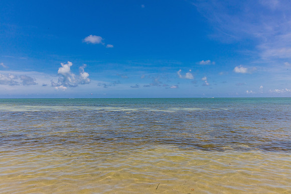 20160711_Key_West_75A0160