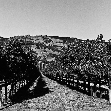 6039_FM_BW_NAPA_AND_PACIFIC_CA_05_8.jpg