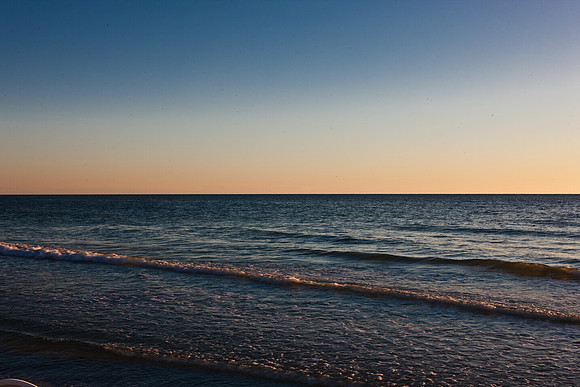 20081026_DVD80_DG_USA_Sarasota_FL_5L8Y1027_full_blead