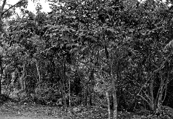 62456_2008_FM_BW_Temples_SlemReap_Cambodia_027